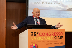 SIAIP2026-276