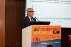 SIAIP2026-426